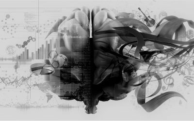 Los hemisferios cerebrales. Sinergología®