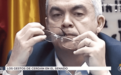Caso Koldo: Análisis de la COMUNICACIÓN NO VERBAL de Santos Cerdán en el Senado | Sinergología